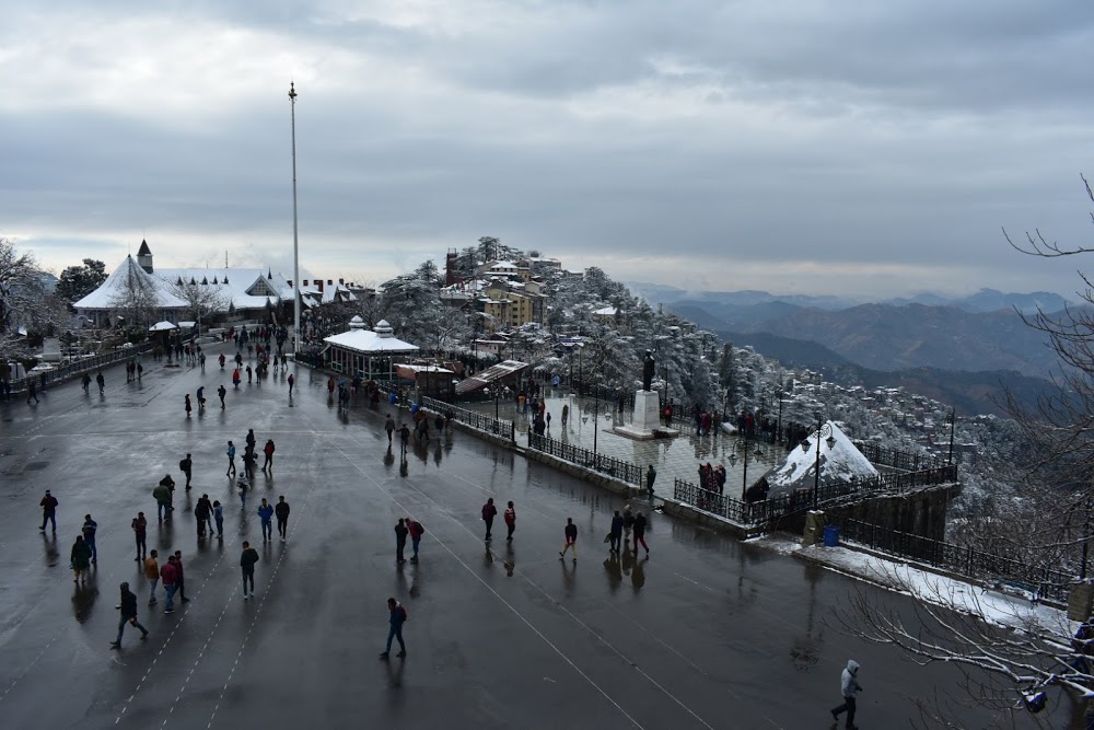 Shimla